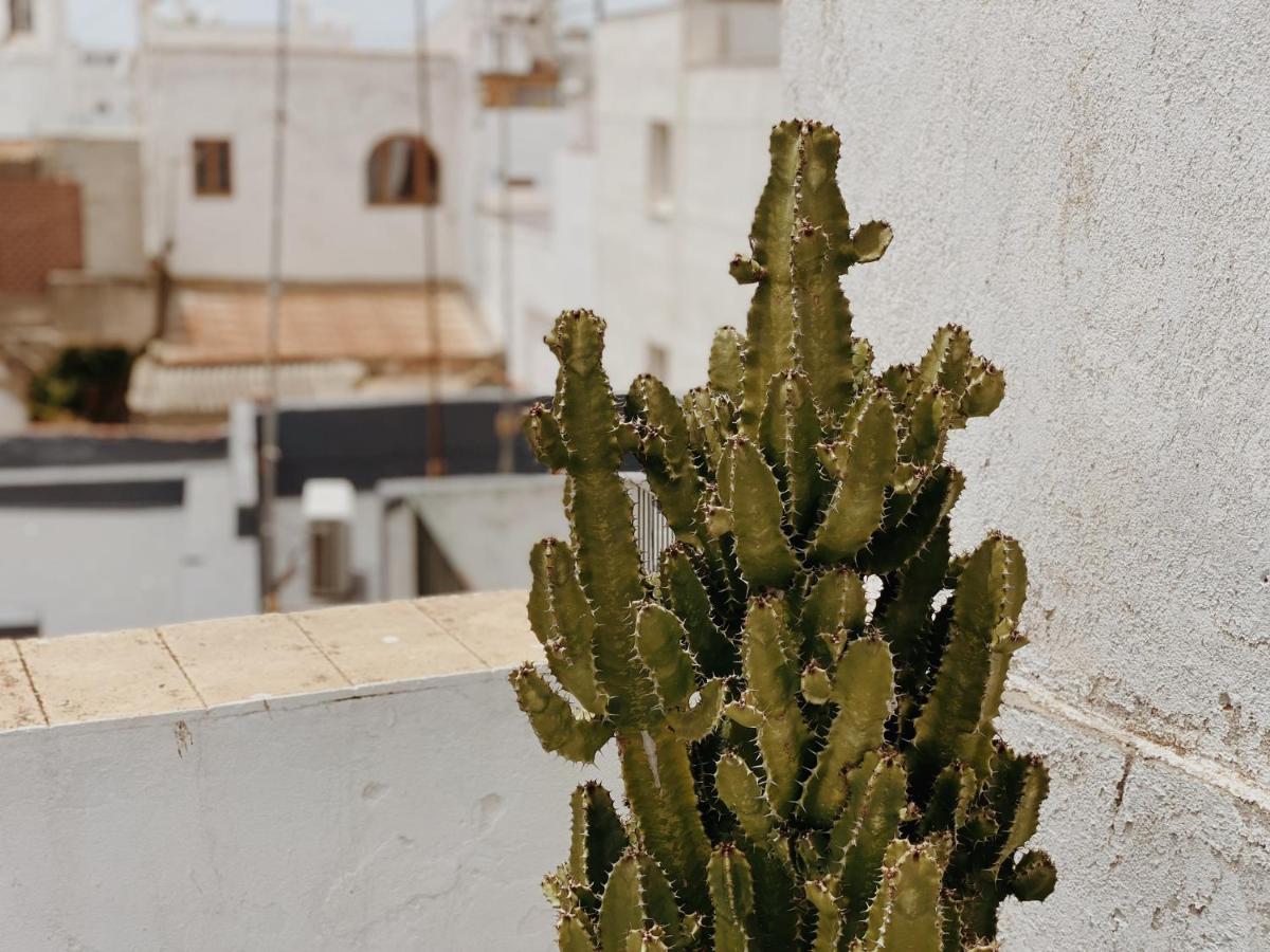 Cool Loft In The Old Town With Rooftop Terrace And Fireplace Ταρίφα Εξωτερικό φωτογραφία